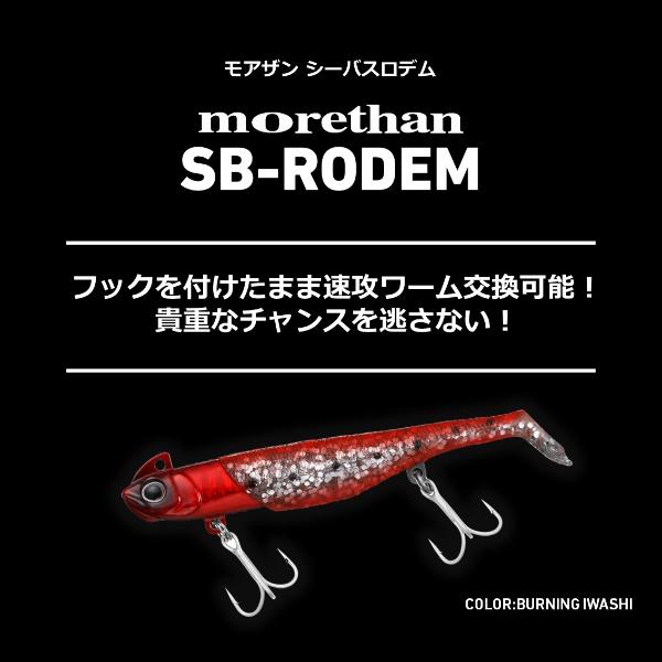 クーポンセール対象 在庫限り ダイワ [90] モアザン SB-RODEM シーバスロデム 14g グリーンゴールド (N3) 返品不可｜kameya-ec1｜02