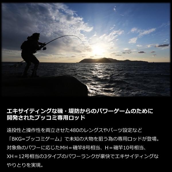 DAIWA（釣り） ダイワ [90] '23 バトルゲーム ブッコミゲーム T