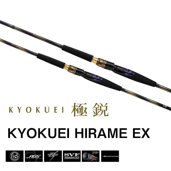 DAIWA（ダイワ） [90] 25 極鋭ヒラメ EX SS/MH-245 (G1) : かめや釣具