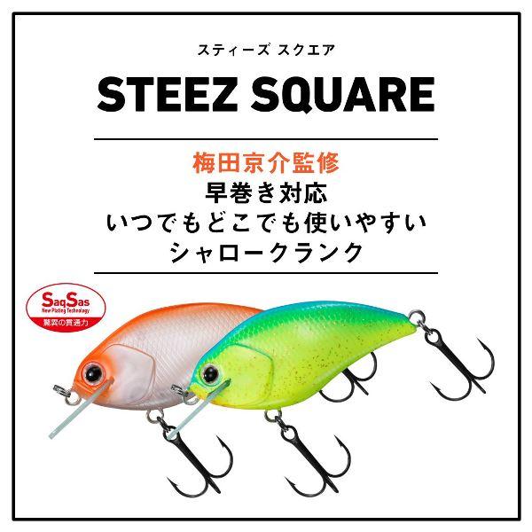 DAIWA（ダイワ） 爆買対象商品 [90] スティーズ スクエア 100 ウメ