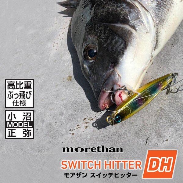 DAIWA（ダイワ） [90] モアザン スイッチヒッターDH 59S 小沼