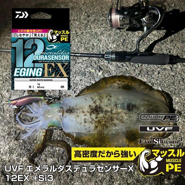 DAIWA（ダイワ） [90] UVF エメラルダスデュラセンサーX12EX+Si3