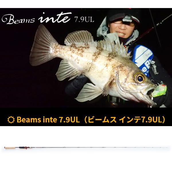 Fishman フィッシュマン ビームス インテ 7.9UL FB-79UL [90 Fishman フィッシュマン ビームス インテ 7.9UL FB-79UL [90