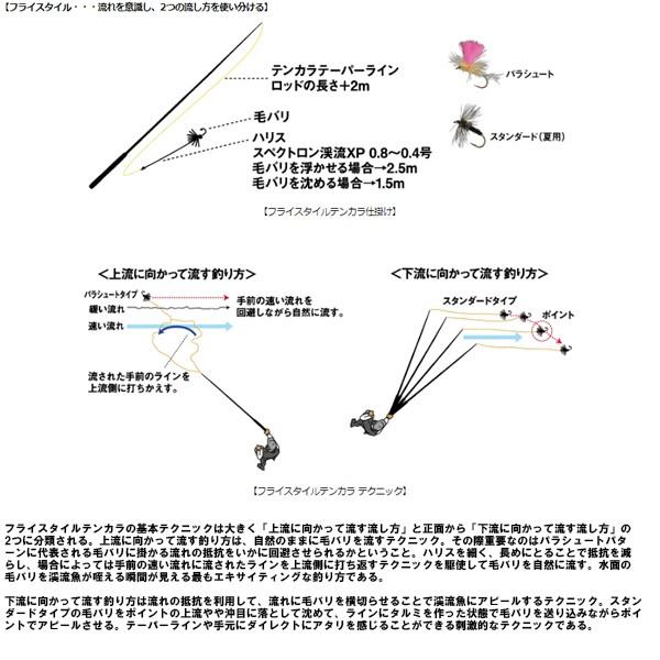 ダイワ テンカラ毛針セット スタンダード夏 [90]｜kameya-ec1｜04