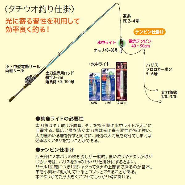 LUMICA（ルミカ） 水中集魚ライト M型III 1灯 緑・赤・青 [1] : かめや