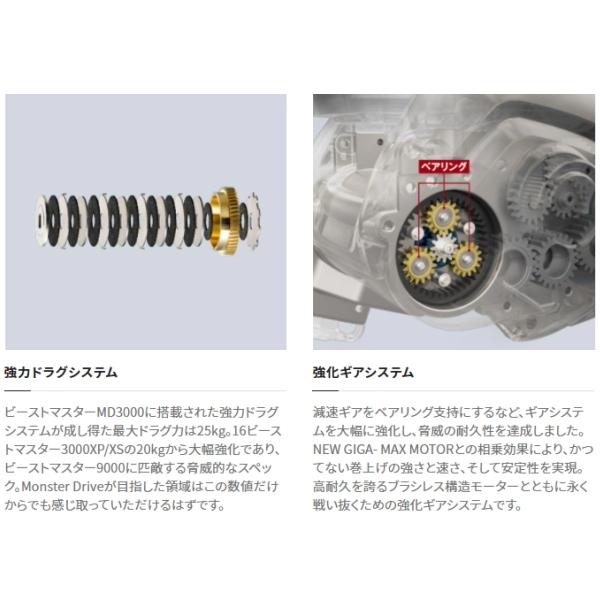 シマノ（SHIMANO） '20 ビーストマスター MD 3000 (G) [90] : かめや