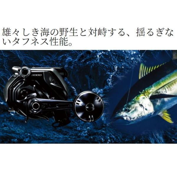 シマノ（SHIMANO） '20 ビーストマスター MD 3000 (G) [90] : かめや