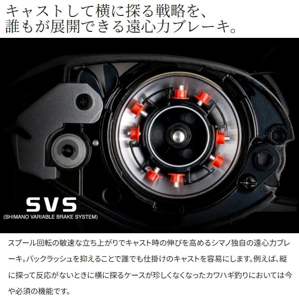 シマノ（SHIMANO） [90] 25 スティーレ 100XG 右ハンドル : かめや釣具