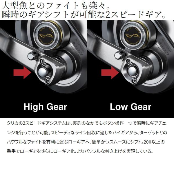 シマノ（SHIMANO） [90] 26 タリカ 25II (G1) : かめや釣具 - 通販