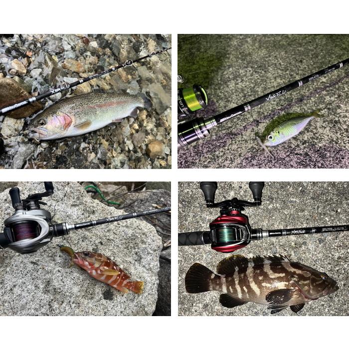 Abu Garcia XSFS-862M シーバスロッド 楽天市場】【大感謝祭期間中 ポイント10倍】 アブガルシア [90] 24