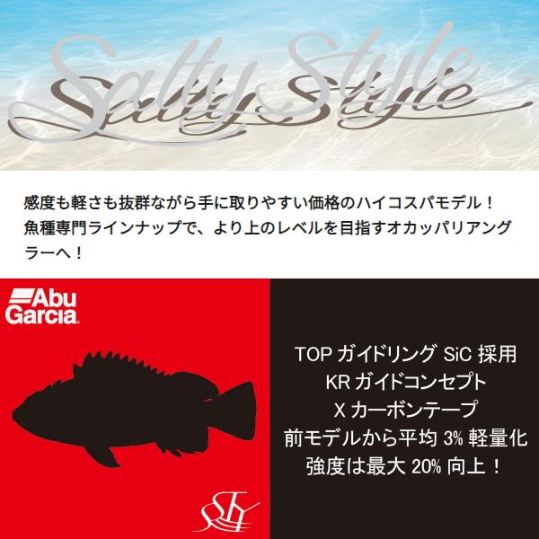 ⭐︎美品⭐︎24アブガルシアSalty Style SYRC-762MH Abu Garcia アブガルシア [90] 24 ソルティースタイル ロック