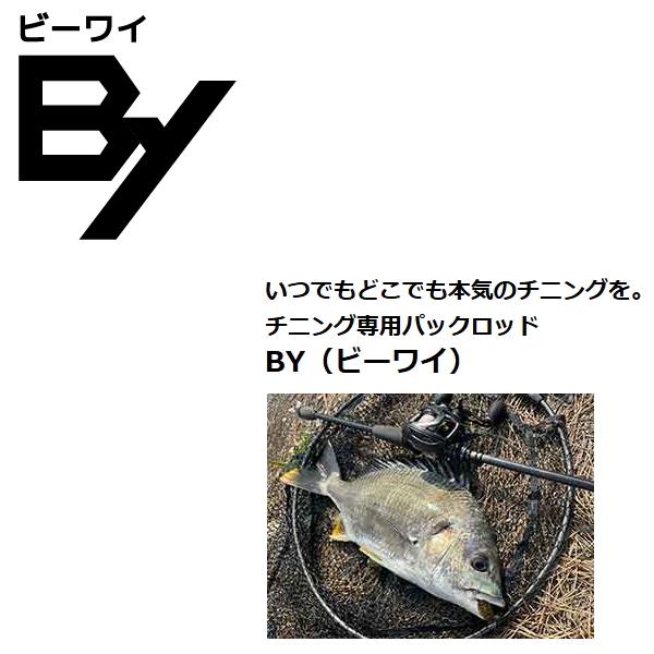 SMITH（スミス） [90] 26 BY (ビーワイ) BY-C734-S ベイト