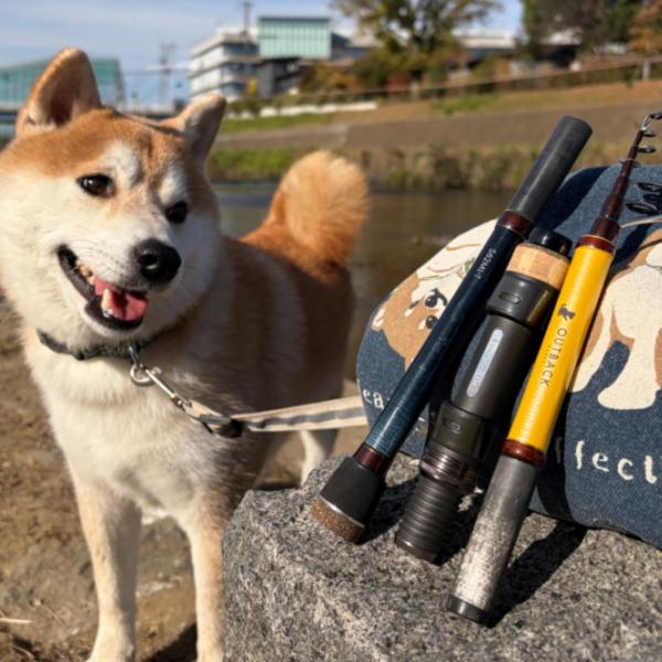 テイルウォーク [90] 26 OUTBACK PUPPY (アウトバック パピー) S41L-Tの画像