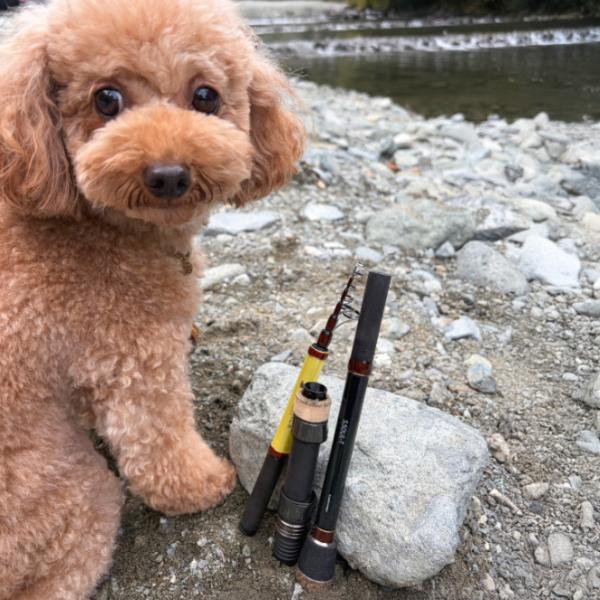 テイルウォーク [90] 26 OUTBACK PUPPY (アウトバック パピー) S50L-Tの画像