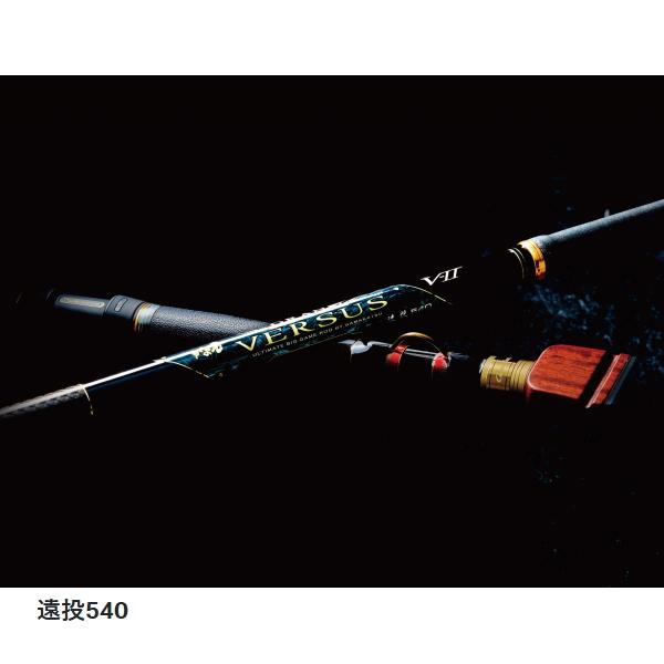 がま石 がまかつ [90] 25 グランドバーサスV2 遠投540 大型商品