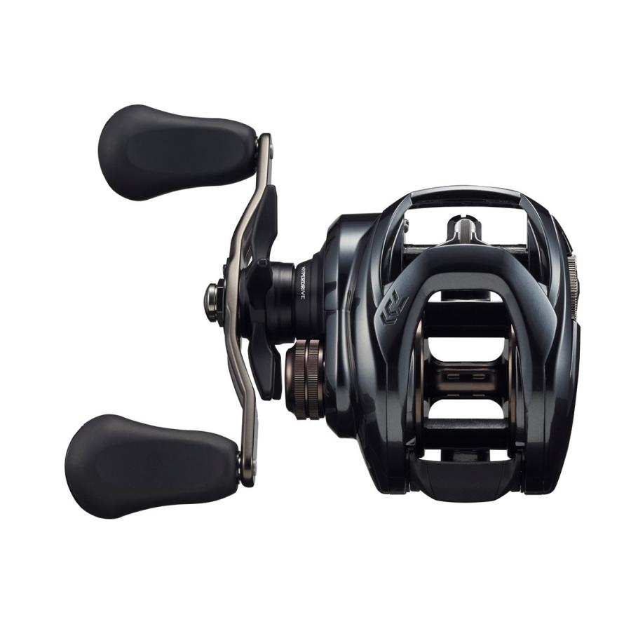 DAIWA(釣り) ダイワ '21 タトゥーラ TW 300L 左ハンドル [90 DAIWA(釣り) ダイワ '21 タトゥーラ TW 300L 左ハンドル [90