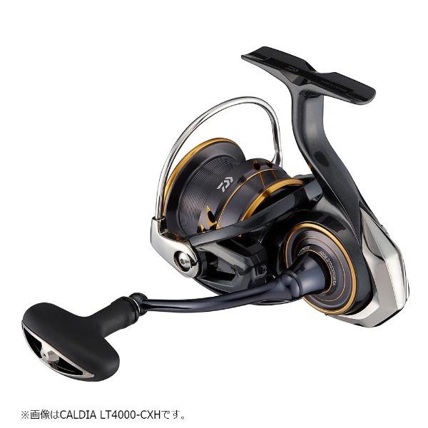 最終値下げ新品　ダイワ　21カルディア LT 4000S-C DAIWA（釣り） 在庫限り最終値下 ダイワ [90] 21 カルディア