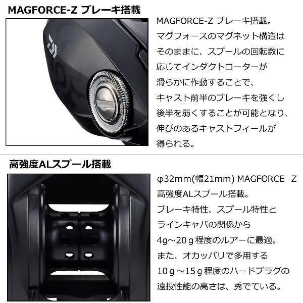 DAIWA（ダイワ） 在庫限り最終値下 [90] 22 タトゥーラ TW 80L 左