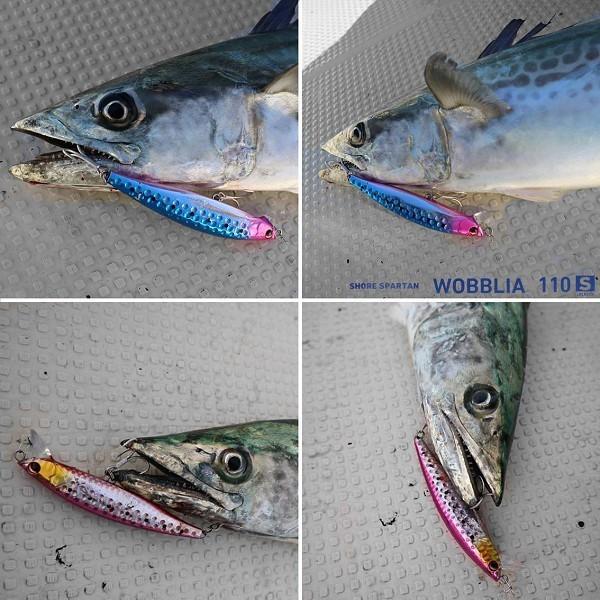 DAIWA（ダイワ） ショアスパルタン ウォブリア 110S サワラケイムラ