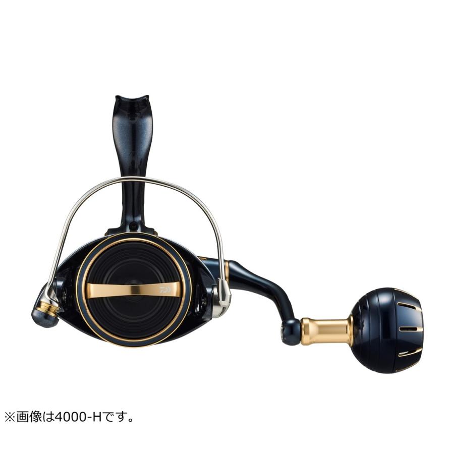 DAIWA（ダイワ） [90] '23 ソルティガ 4000-XH (G1) : かめや釣具