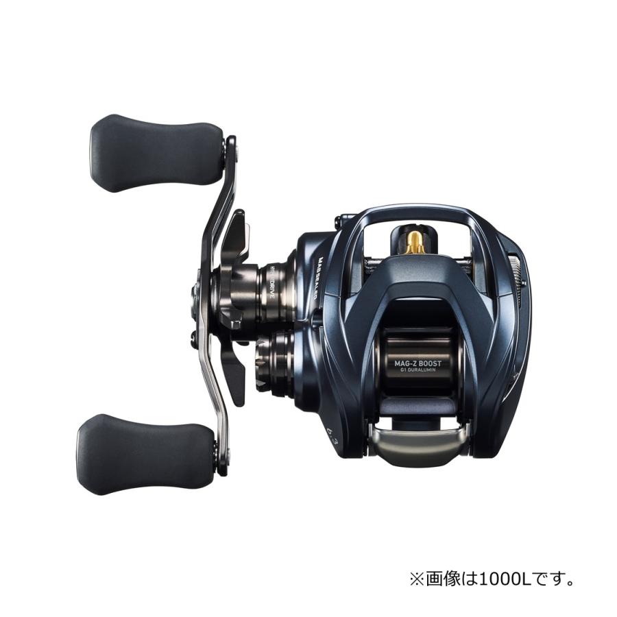 DAIWA（ダイワ） [90] '22 スティーズ A II TW 1000HL 左ハンドル (G2