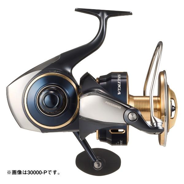 25ソルティガ　300L 早い者勝ち☆美品☆投げ売り☆処分品☆釣り引退☆ダイワ☆ DAIWA（ダイワ） [90] 25 ソルティガ 30000-H 2026年追加機種 (G1