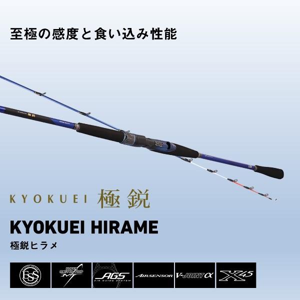 DAIWA（ダイワ） [90] 24 極鋭 ヒラメ MH-270・K (G1) : かめや釣具