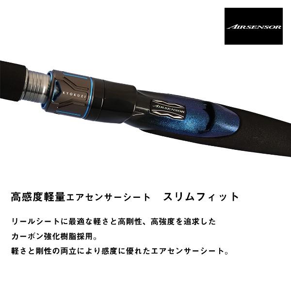 DAIWA（ダイワ） [90] 24 極鋭 ヒラメ MH-270・K (G1) : かめや釣具