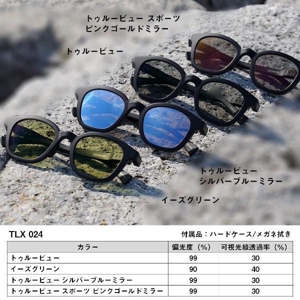DAIWA（ダイワ） [90] 24 タレックス 偏光サングラス TLX024 トゥルー