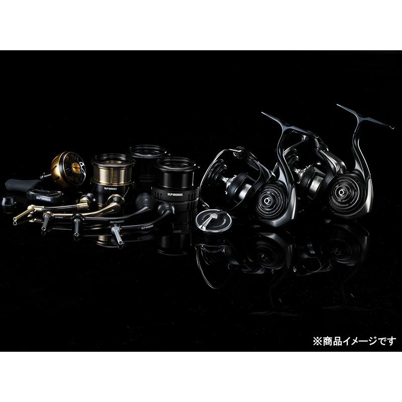 ダイワ　24セルテートカスタムボディ　LT3000XH-SLPW SLPワークス 24セルテートカスタムボディ LT3000-XH-SLPW: リール