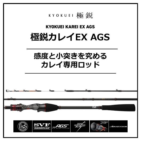 DAIWA（ダイワ） [90] 19 極鋭 カレイ EX AGS 160 (G) : かめや釣具