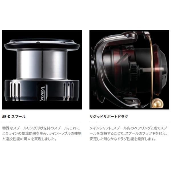 STELLA SW シマノ [90] 20 ステラSW 6000PG (G) : かめや釣具