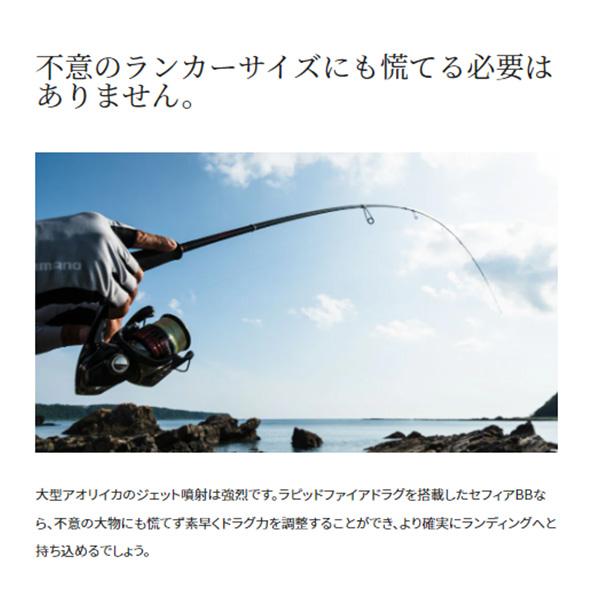 Sephia シマノ [90] 22 セフィア BB C3000S : かめや釣具ヤフー店
