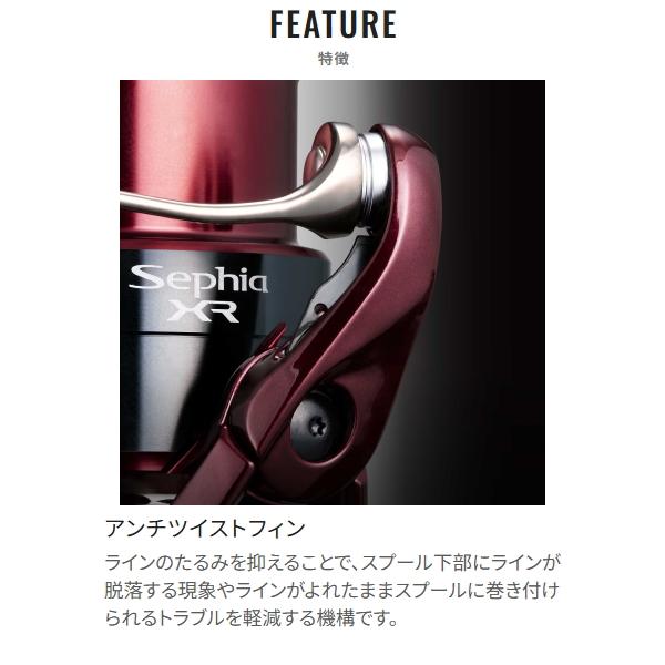 Sephia シマノ [90] 25 セフィア XR C3000SHG : かめや釣具ヤフー店