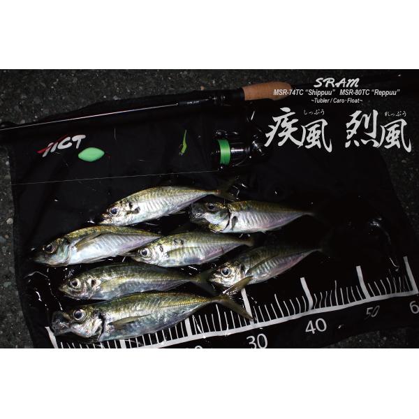 TICT - ティクト/[90] 26 SRAM MSR-74TC Shippuu (疾風)