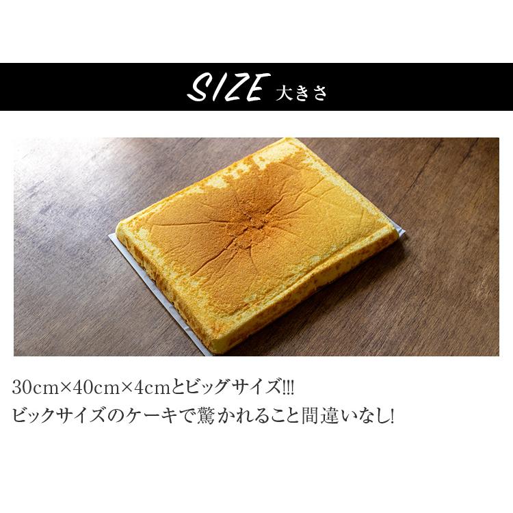 冷凍 スポンジケーキシート プレーン 角３０ｘ４０ｘ４ｃｍ 1個口6枚まで 6枚毎各個口送料有 バレンタイン アウトレットセール 特集 結婚式 クリスマスケーキ 手作り 誕生日