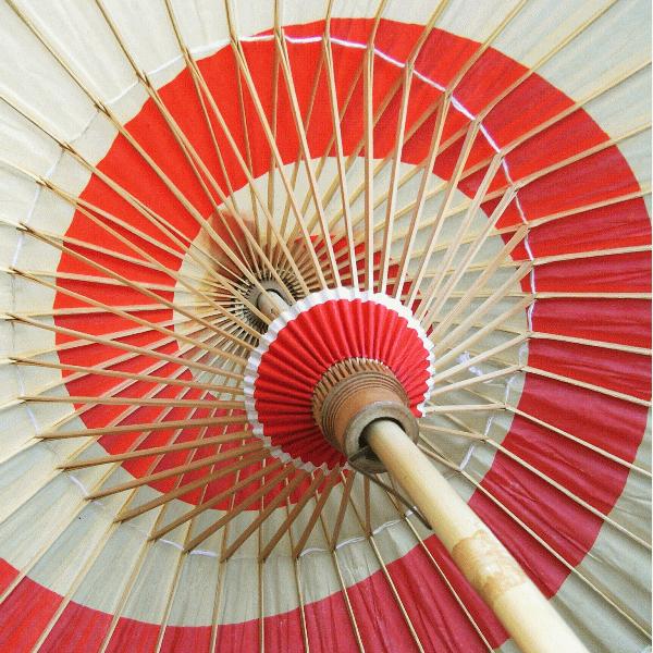 八木節傘 舞踊傘 祭り 八木節 踊り 傘 紙傘 紙舞傘 小道具 舞傘 nsd