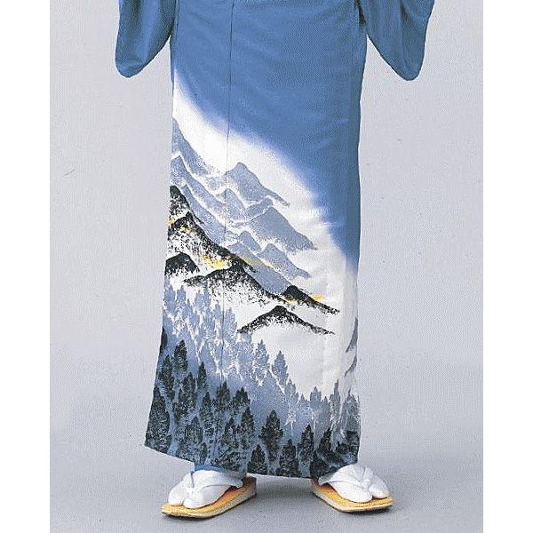 訪問着 着物 反物 女性 男性 踊り 絵羽 洗える着物 ブルー 遠山 杣山