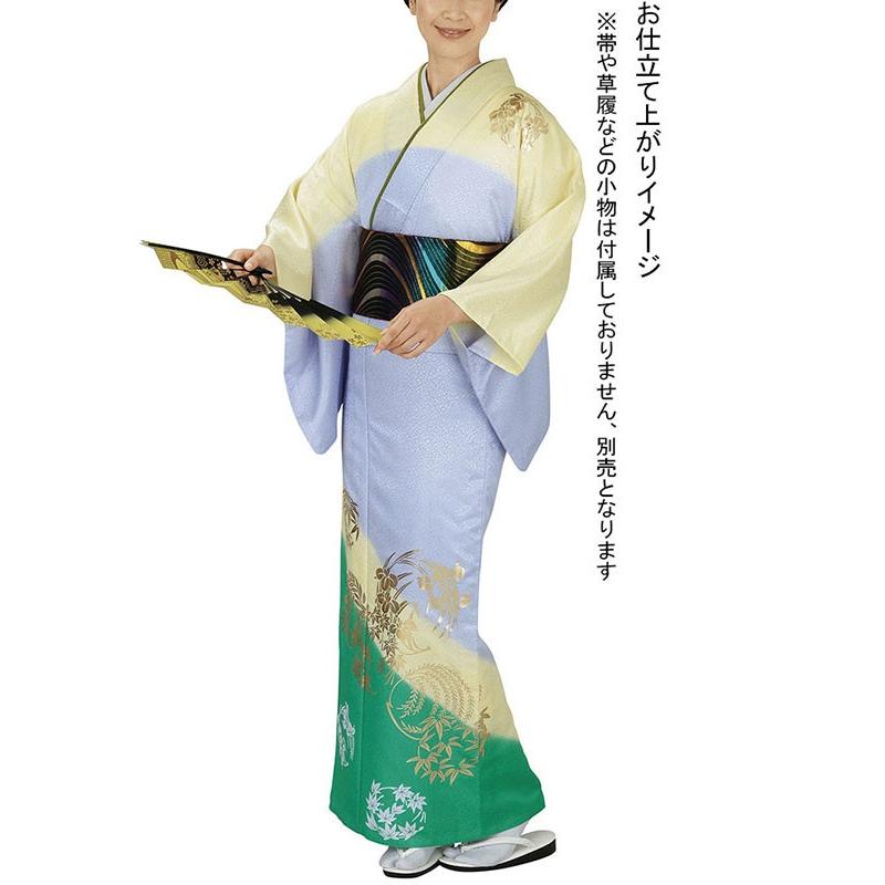 訪問着 着物 反物 女性 男性 踊り 絵羽 訪問着 薄藤色 薄黄色 緑 杜若 洗える着物 :npd-1017:カメヤダイレクト - 通販 -  Yahoo!ショッピング