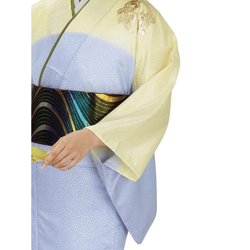 訪問着 着物 反物 女性 男性 踊り 絵羽 薄藤色 薄黄色 緑 杜若 洗える