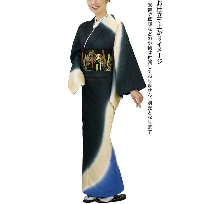 訪問着 着物 反物 女性 男性 結婚式 訪問着 ぼかし 黒 洗える着物