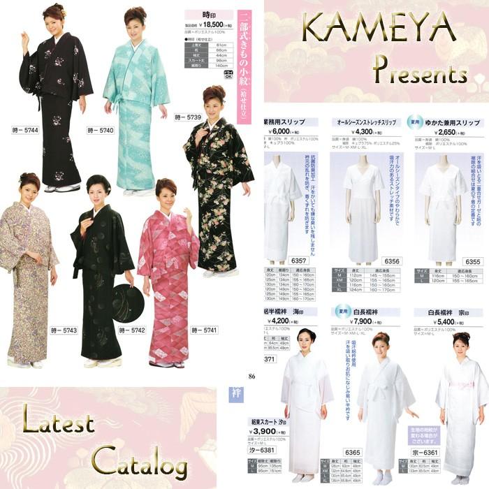 踊り衣装 舞踊 小道具 カタログ 最新版『日本の踊り』 訪問着 二部式