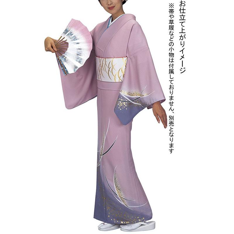 訪問着 着物 反物 女性 男性 踊り 絵羽 紅藤色 藤鼠 露芝 洗える着物