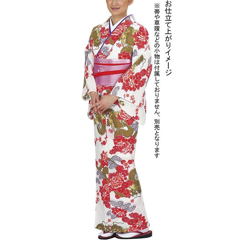 小紋 着物 反物 レディース 手染め 踊り 舞台 大正ロマン 洗える着物  