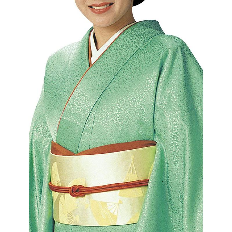 色無地 着物 反物 綸子 吹雪 踊り 舞台 パーティー 日本製 色無地着尺