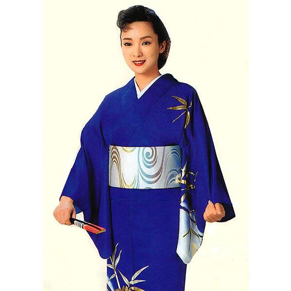 D334 夏着物　訪問着　絽縮緬　ポリエステル　洗える着物　極美品 夏着物 絽 着物 14472 夏きもの 洗える ポリエステル 小紋 単品