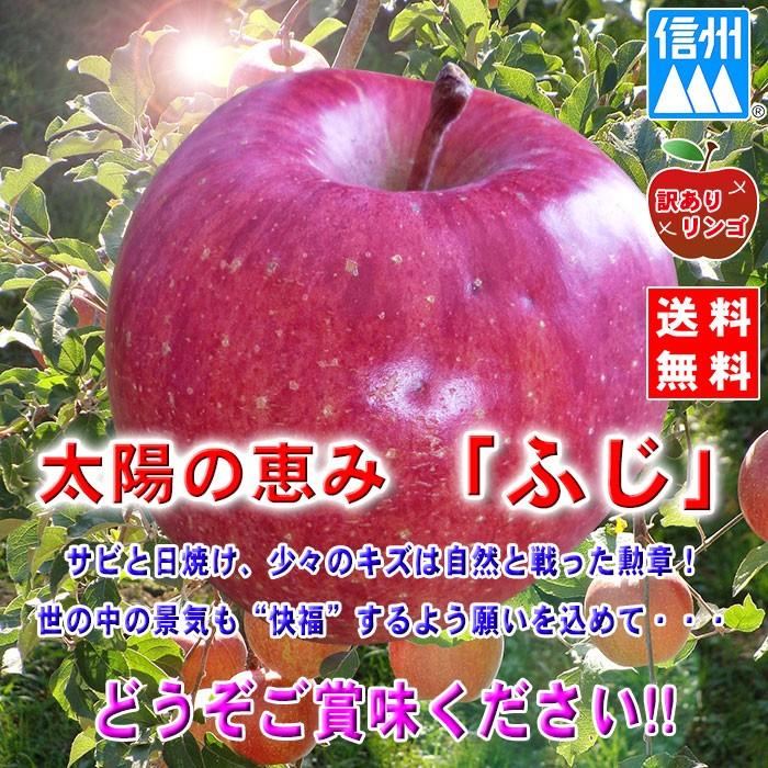 りんご リンゴ 林檎 訳あり サンふじ 5kg 信州 長野 快復りんご 家庭用