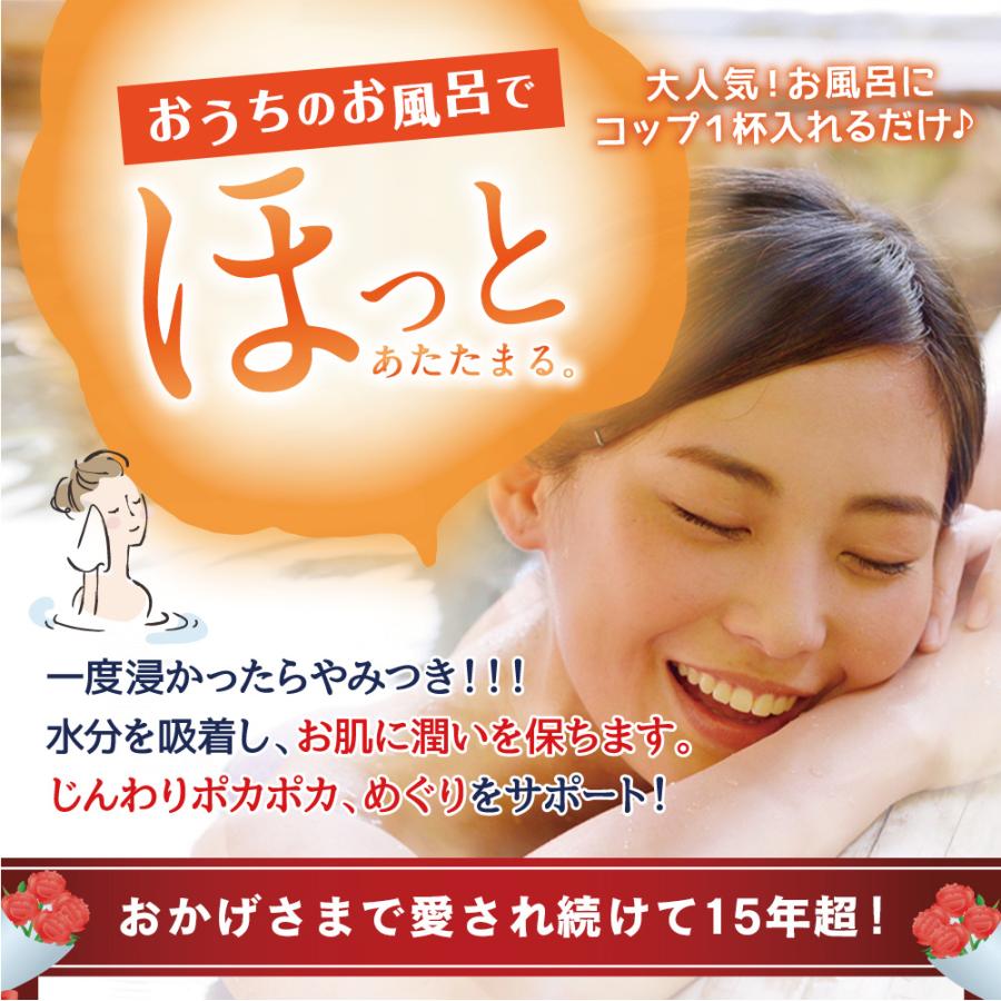 亀山堂 にがり温泉 （ 4L ） にがり 入浴剤 スキンケア 保湿 発汗