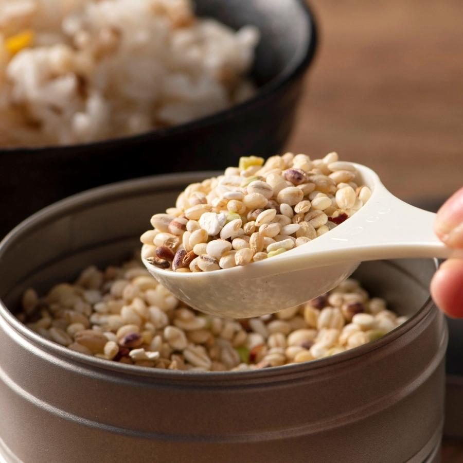 亀山堂 雑穀米 米の華 26穀米 胚芽 発芽 健康 食物繊維 二十六穀米