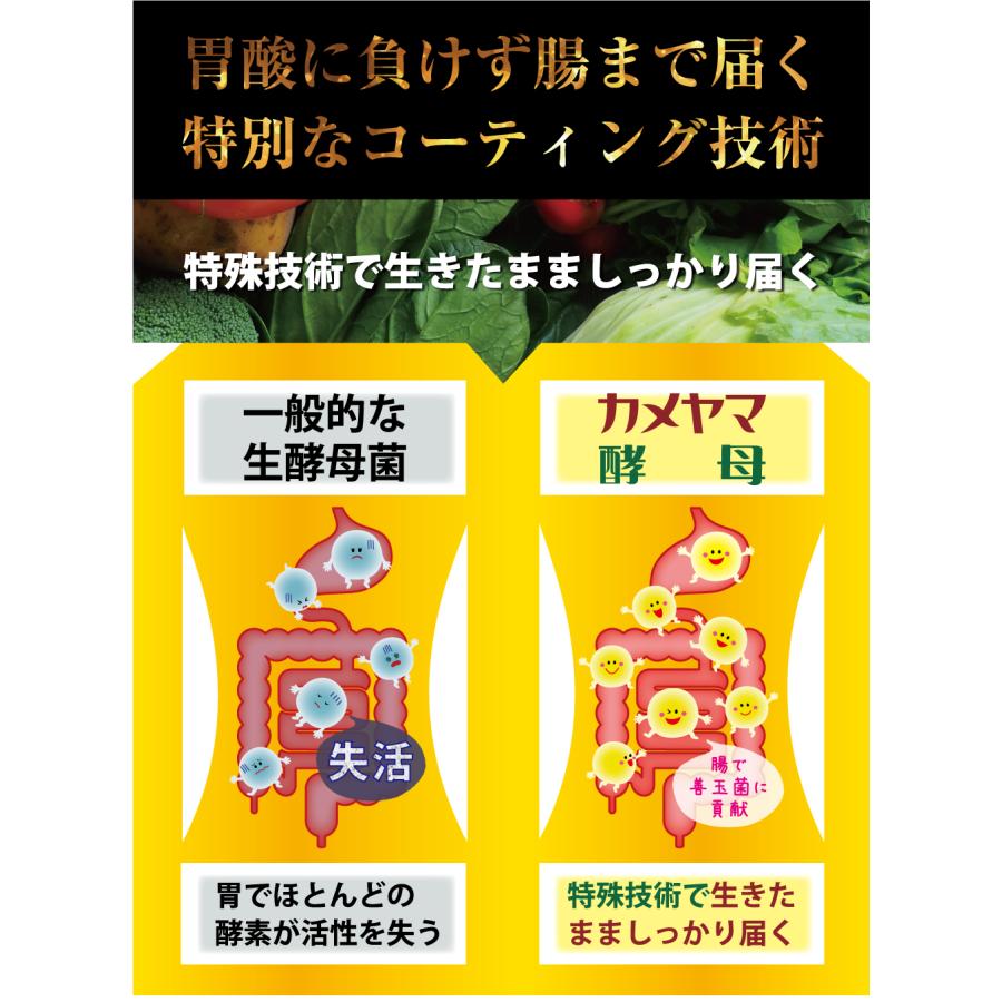 ジャームコロン 60粒 酵母菌入り2箱 ダイエット食品 ジャームコロン 60粒 酵母菌入り2箱